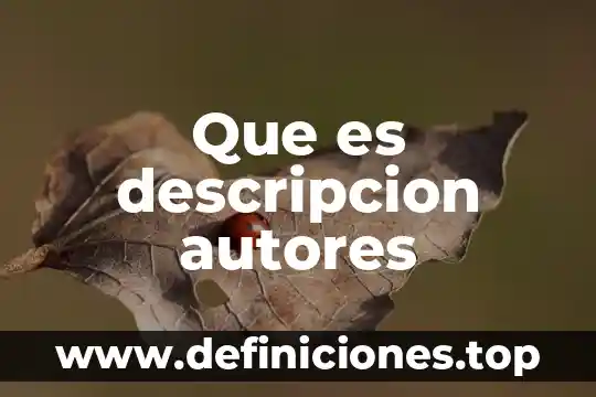 Que es descripcion autores