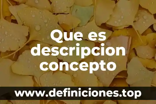 Que es descripcion concepto