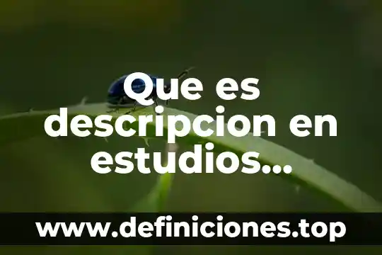 Qué es intuitivas en clasificación y descripción de técnicas 6 Que es descripcion en estudios cualitativos