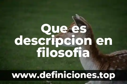 En filosofía que es polifacético 3 Que es descripcion en filosofia