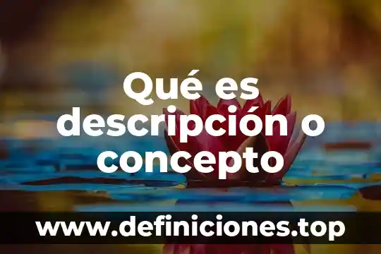 Qué es descripción o concepto