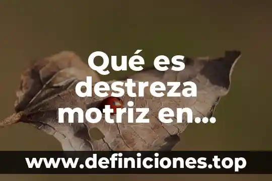 Qué es capacidad física motriz 8 Qué es destreza motriz en educación física