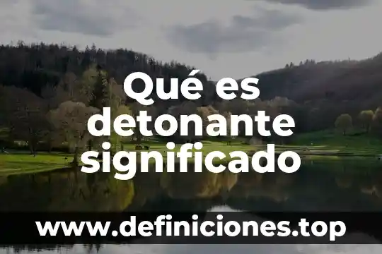 Que es vastedad significado 8 Qué es detonante significado