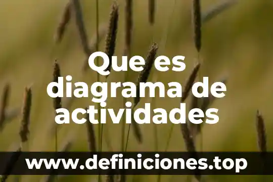 Que es algunas actividades economicas que realizan 8 Que es diagrama de actividades