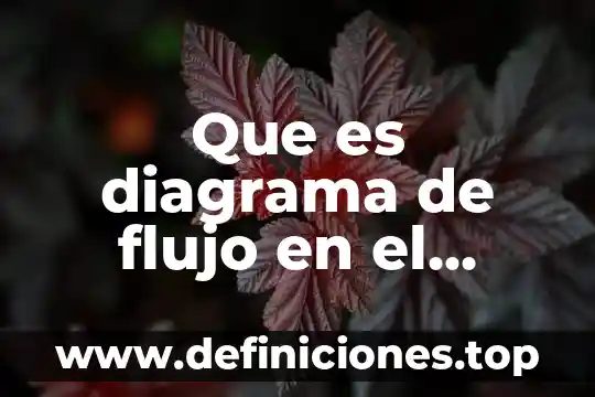 Que es la interseccion de una funcion 7 Que es diagrama de flujo en el sistema