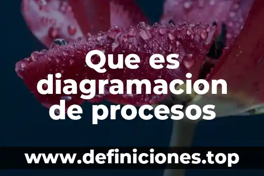Que es la emef de procesos 6 Que es diagramacion de procesos