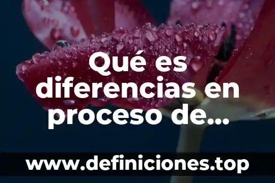 Qué es diferencias en proceso de pensamiento