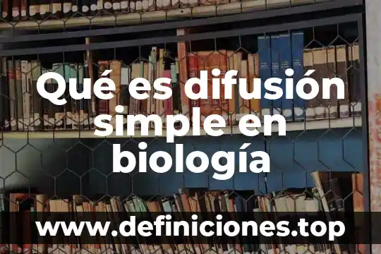 Qué es un malla hablando de computadoras 5 Qué es difusión simple en biología
