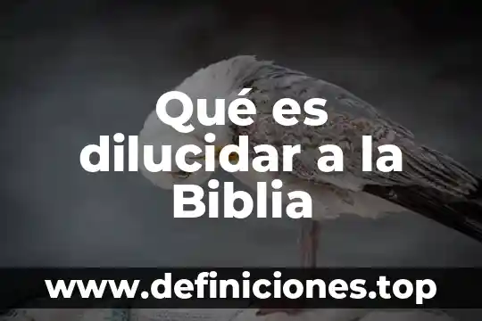 Qué es dilucidar a la Biblia