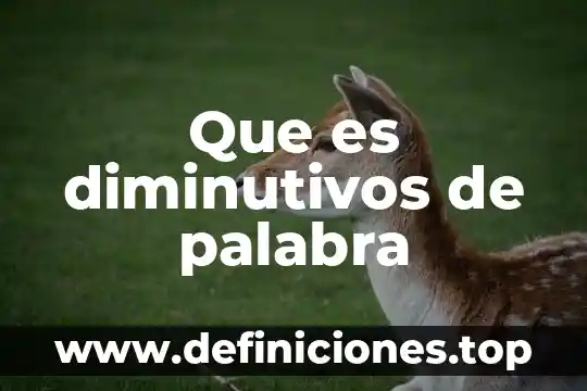 Que es una palabra irracional 6 Que es diminutivos de palabra