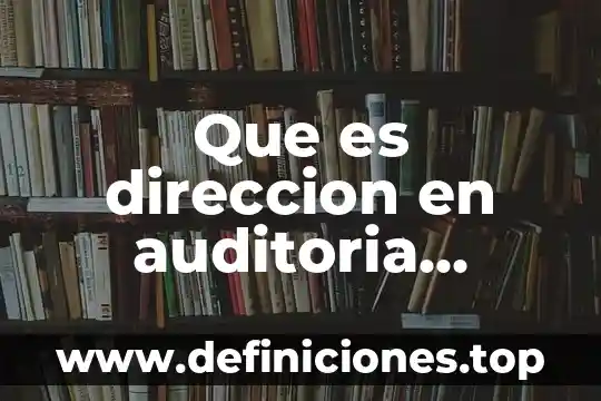 Que es direccion en auditoria concepto
