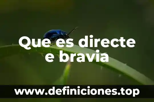 Que es numerico e integro 4 Que es directe e bravia