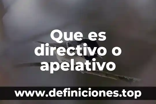 Que es directivo o apelativo