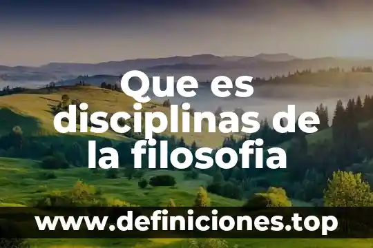 Que es disciplinas de la filosofia