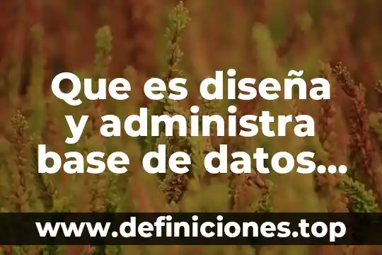 Que es simples y ejemplos 8 Que es diseña y administra base de datos simples