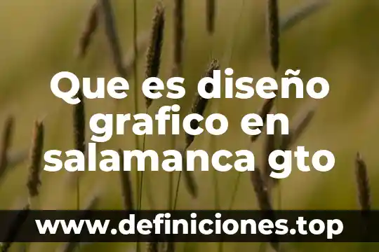 Que es diseño grafico en salamanca gto
