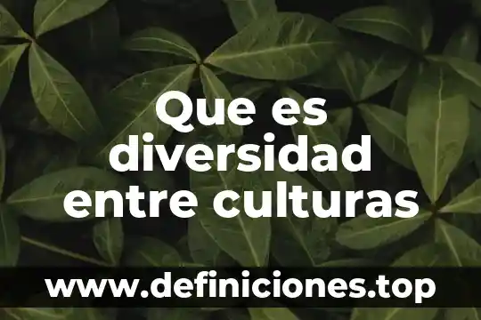 Culturas transversales que es 3 Que es diversidad entre culturas