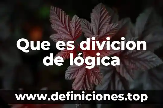 Que es divicion de lógica