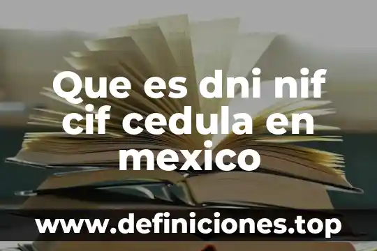 Qué es la prisión en México 4 Que es dni nif cif cedula en mexico