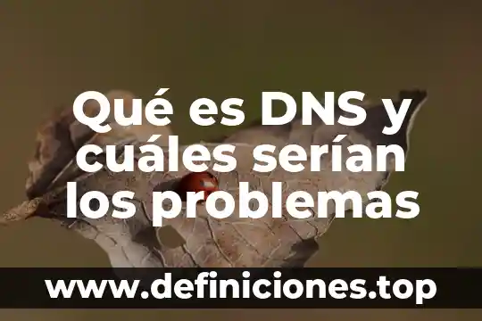 Algoritmología que es 3 Qué es DNS y cuáles serían los problemas
