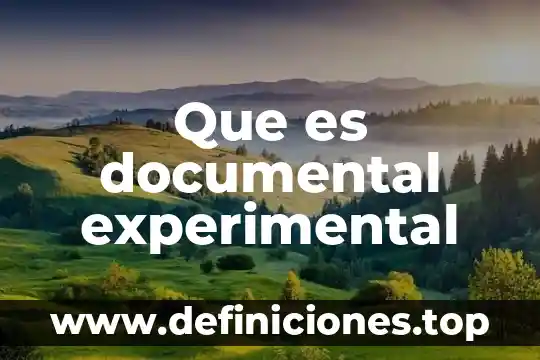 Que es documental experimental