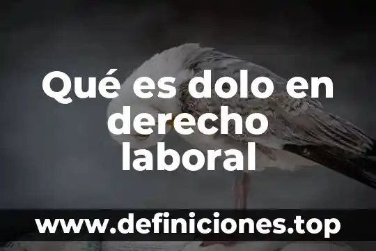 Que es el examen ambiental laboral 6 Qué es dolo en derecho laboral