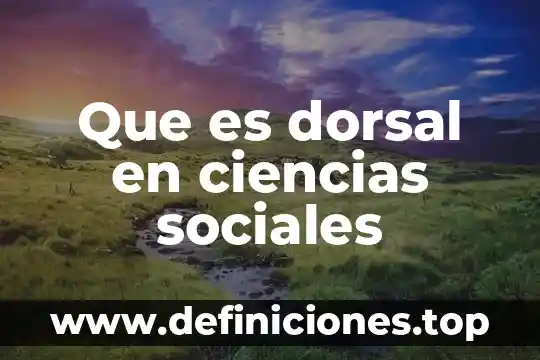 Que es un sistema en si 8 Que es dorsal en ciencias sociales