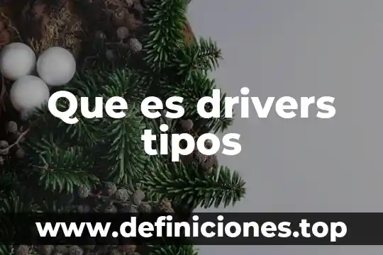 Que es drivers tipos