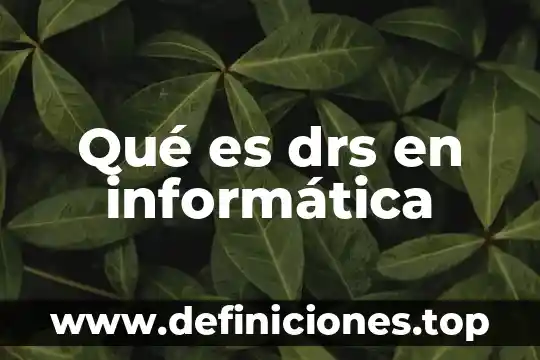 Que es la busqueda en informatica 8 Qué es drs en informática