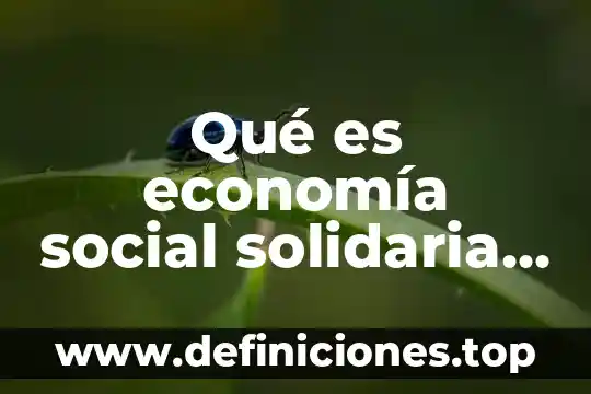 Qué es economía social solidaria en México