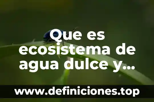 Ecosistema que es y para que sirve 8 Que es ecosistema de agua dulce y sus caracteristicas