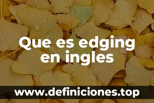 Que es edging en ingles
