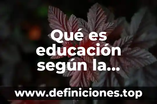 Que es sociología comprensiva mapa conceptual 3 Qué es educación según la sociología