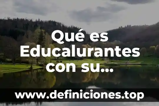 Que es la responsabilidad compartida de gobierno concepto 3 Qué es Educalurantes con su concepto