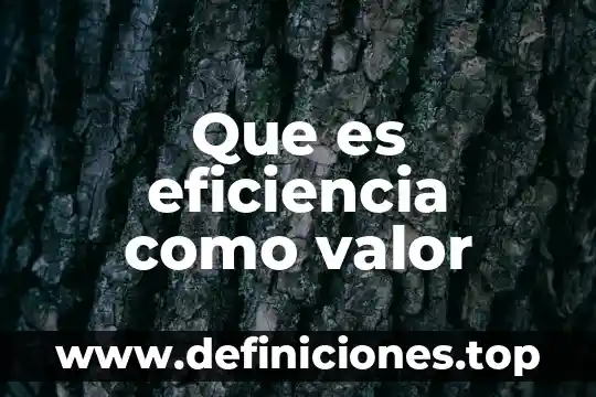 Que es la eficiencia en quimica 4 Que es eficiencia como valor