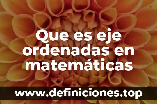 Por qué es importante la comprobación en las matemáticas 8 Que es eje ordenadas en matemáticas