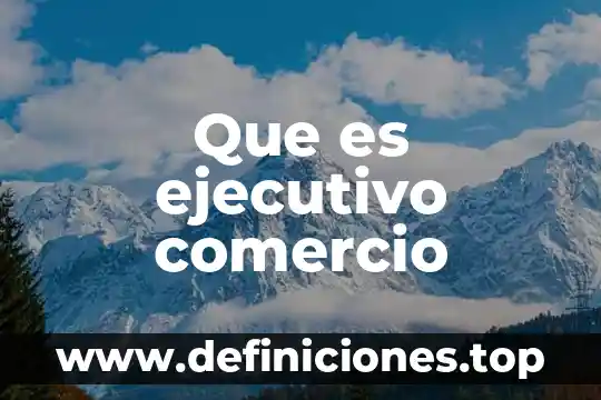 Que es el comercio subterraneo 4 Que es ejecutivo comercio