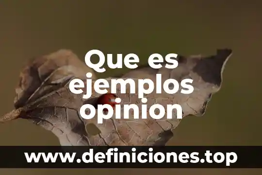 Que es ejemplos opinion