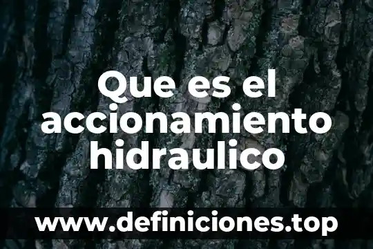 Redalyc que es la niñez en psicologia 6 Que es el accionamiento hidraulico