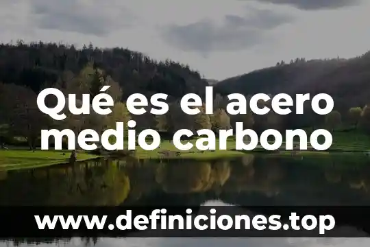 Que es el carbono modelo 7 Qué es el acero medio carbono