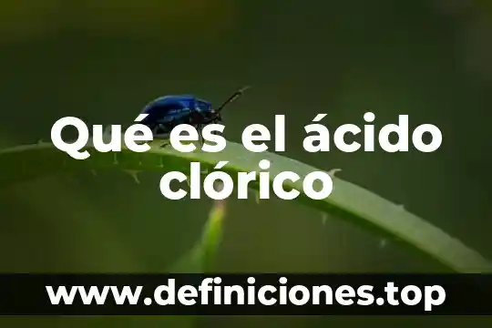 Qué es el ácido undecilénico 5 Qué es el ácido clórico