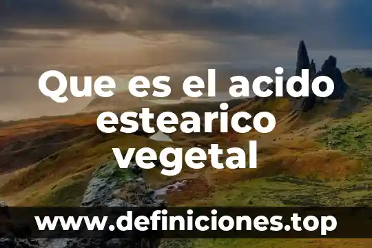 Qué es el ácido undecilénico 8 Que es el acido estearico vegetal