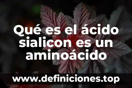 Que es acido folinico 4 Qué es el ácido sialicon es un aminoácido