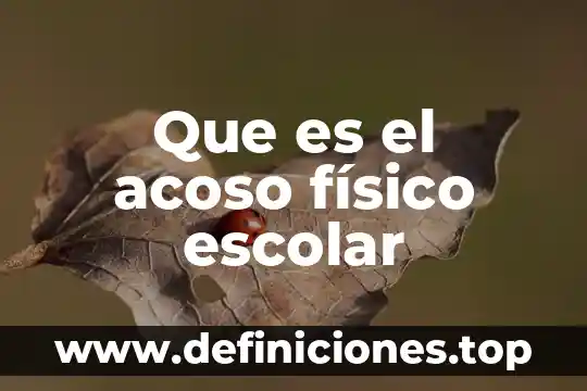 Que es el acoso físico escolar