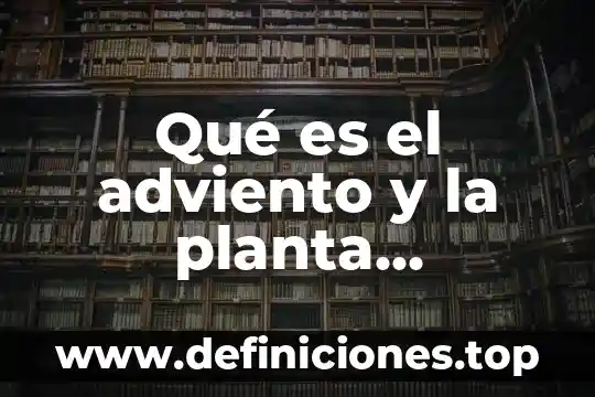 Qué es el adviento y la planta nochebuena
