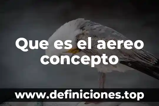 Que es el aereo concepto