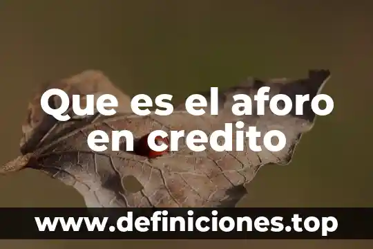 Crédito bancario que es schp 4 Que es el aforo en credito