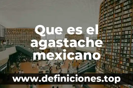 Que es el agastache mexicano