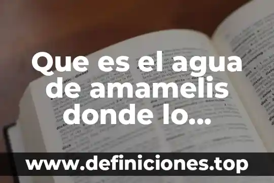 Que es el agua de amamelis donde lo puedo comprar
