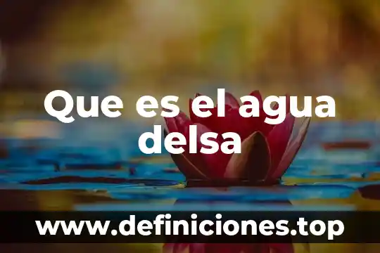 Que es el agua delsa